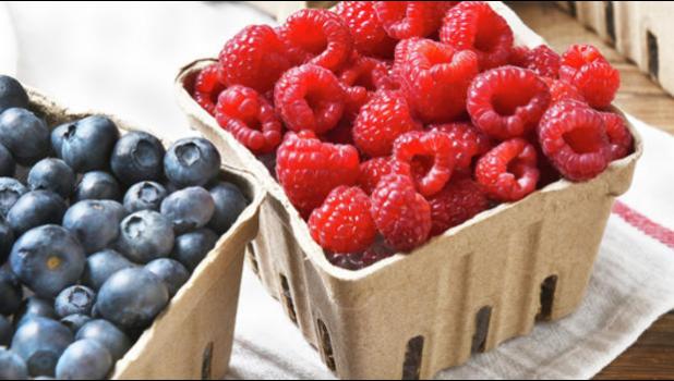 Special photo. Minnesota summer raspberry and blueberry growers report fields full of blossoms and expect to open for pick-your-own and pre-picked berries the first two weeks of July.