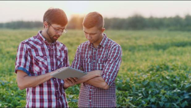 Special photo. Stressful times in agriculture can trigger bad news and difficult conversations.