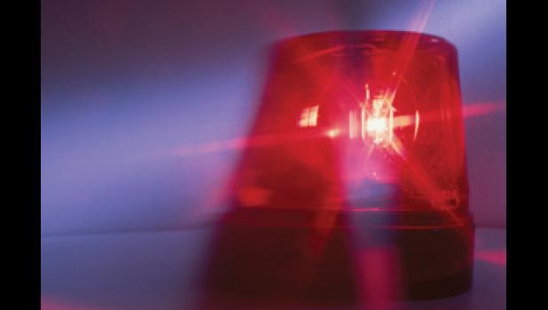 The Minneota Police Department received the following calls for service: 