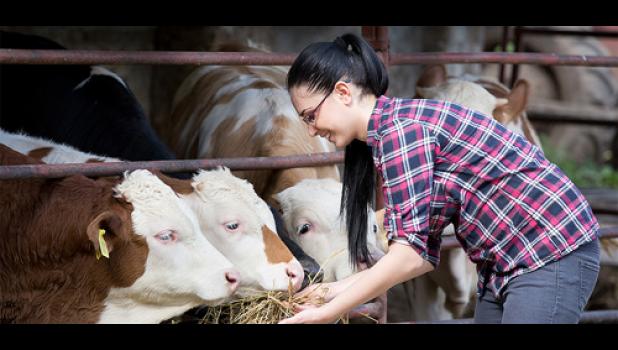 Special photo. Livestock producers may apply for a portion of $1.9 million in Livestock Investment Grants.