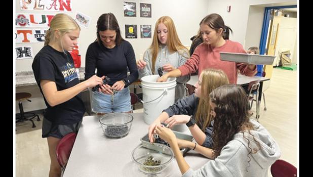 Contributed photo The grapes were then washed and de-stemmed. Standing, left to right: Claire Rost, Dakota Pesch, Hadli Krog, Alex Wersal. Sitting, left to right: Sarah Gruenes, Kate Badgett.
