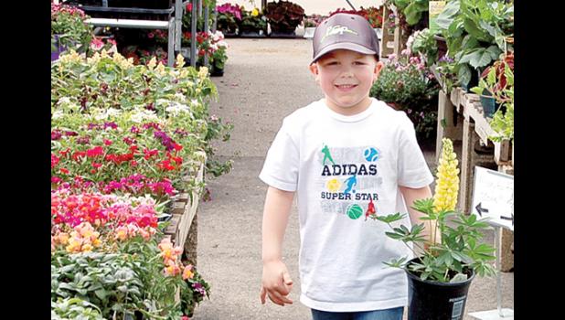 Derek Gregoire, 5, of Cottonwood helps carry some potted plants that his mother purchased at the Cenex Flower Shop on Saturday.