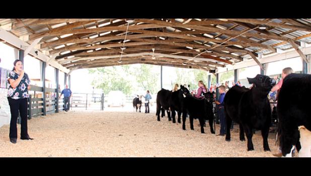 Staff Photo by Byron Higgin. The judge in the beef cattle division talked to the participants.
