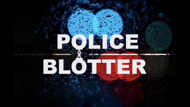 Special photo. The Minneota Police Department and First Responders received the following calls for service: