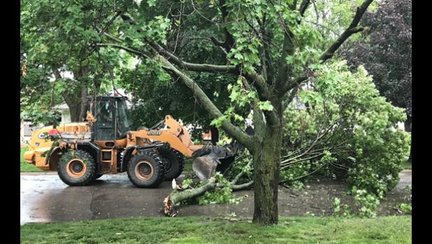 Mascot photo by Sue Jacobson. Minneota city workers were quickly cleaning up after Saturday’s storm including this tree that was blocking East Second Street.