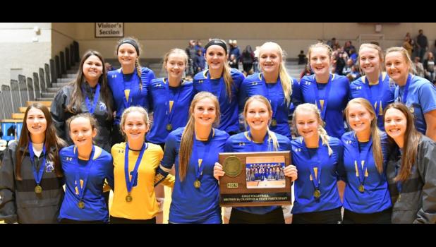 Photo for the Mascot by Brian Jeremiason. Minneota's Section 3A Champs