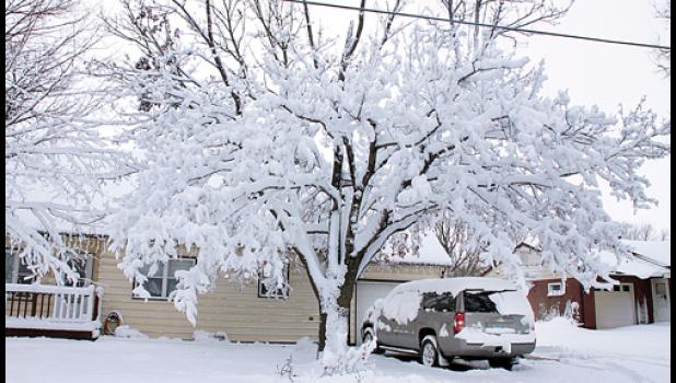 Staff Photo by Byron Higgin. Residents were able to see the beauty of winter return one more time to the trees and branches of Minneota.