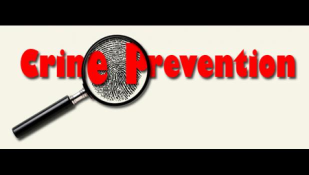 Special photo. Help prevent crime in Minneota!