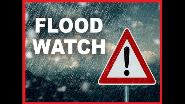 Special photo. The National Weather Service in Sioux Falls has issued a * Flood Watch for a portion of southwest Minnesota, including the following areas, Cottonwood, Jackson, Lincoln, Lyon, Murray, and Nobles.
* From 10 PM CDT this evening through Saturday morning