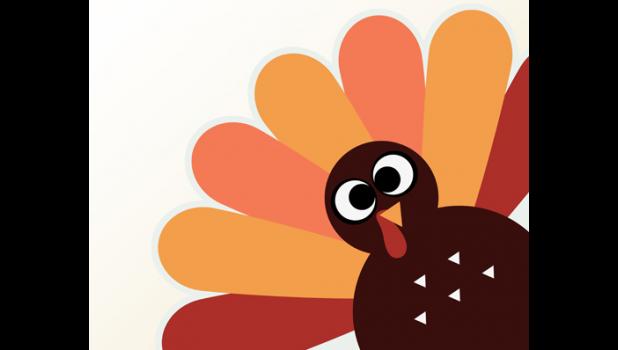 Special photo. How to cook a turkey