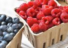 Minnesota summer raspberry and blueberry growers report fields full of blossoms and expect to open for pick-your-own and pre-picked berries the first two weeks of July. 