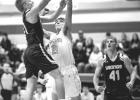 Lucas Rybinski of Minneota goes up for two of his 20 points against Wabasso last Thursday night in Minneota. 