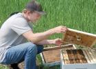 Charlie Pesch is offering to help the Minneota Baseball program with his honey. 