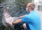 Cole Bot, a 2018 Minneota graduate, is working this summer as an Animal Care Intern at Island Dolphin Care in Key Largo Florida. 