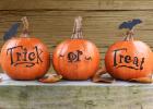 The third annual “Trunk or Treat” event will be held from 10:30 a.m. to noon on Saturday, Oct. 26 at St. Edward’s School parking lot in Minneota.