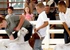 Cael Fier at the county fair.