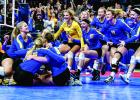 Victory celebration on the floor.