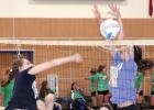 One of those is sophomore Abby Frie.