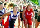 Lizzy Gillingham took the baton from Grace Drietz during the 4x400-meter relays run at the state meet.
