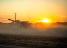 As the sun began to climb over the horizon, this local farmer was already harvesting his corn. The majority of the crops in the area have been harvested, leaving behind empty fields in all directions. 