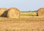 Hay bales that were normally seen sitting in fields in large quantities at this time of the year are sparse due to the extreme dry conditions in the southwestern portion of the state. 