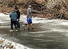 These four boys from New Ulm and Mankato, were visiting their grandparents, Tom and Diane Stoks, and took some time to utilize the frozen Yellow Medicine River in Minneota to play hockey. They are brothers Colin, Kadin and Eastin Stoks, and cousin Leyton Miller. 