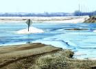 A road closed by water off Highway 68 between Minneota and Ghent.