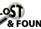 Lost Dog: Black & Tan 6 month old male Australian Shepherd/Labrador Retriever mix that weights about 40 lbs.


